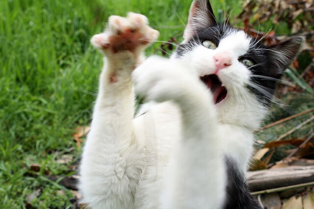 开云电竞登录入口-_勇士开启三分狂潮，火力全开_，勇士三分战术名称