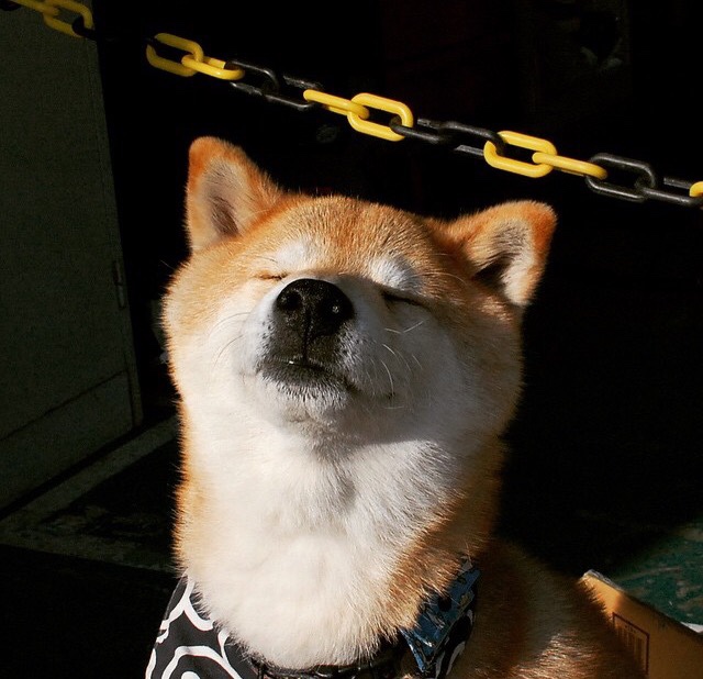 开运app入口-“法甲逆转好戏不断，场面激烈令人振奋”，法甲转会一览 新浪体育