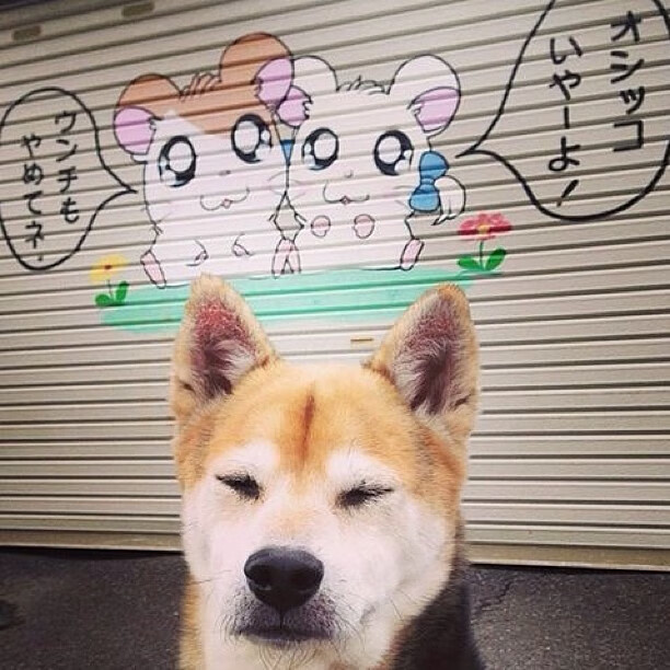 开云电竞平台注册-“西甲明星连续制造惊喜,带领球队冲刺佳绩”,西甲名人 第3张 开云电竞平台注册-“西甲明星连续制造惊喜,带领球队冲刺佳绩”,西甲名人 第3张