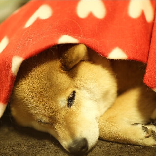 开云权威入口-“青少年足球联赛全国总决赛火热进行”，青少年全国足球比赛